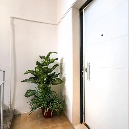 Dolci Coccole Small A Citta! Bari