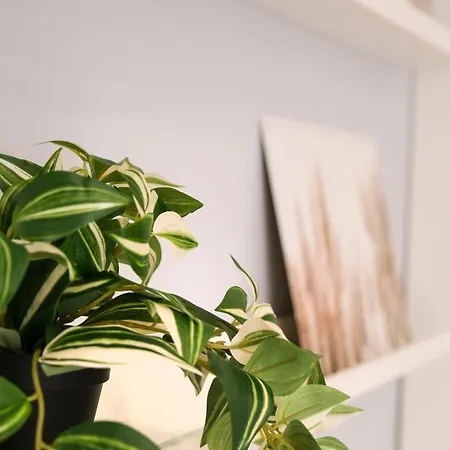 Dolci Coccole Small A Città! Appartamento Bari